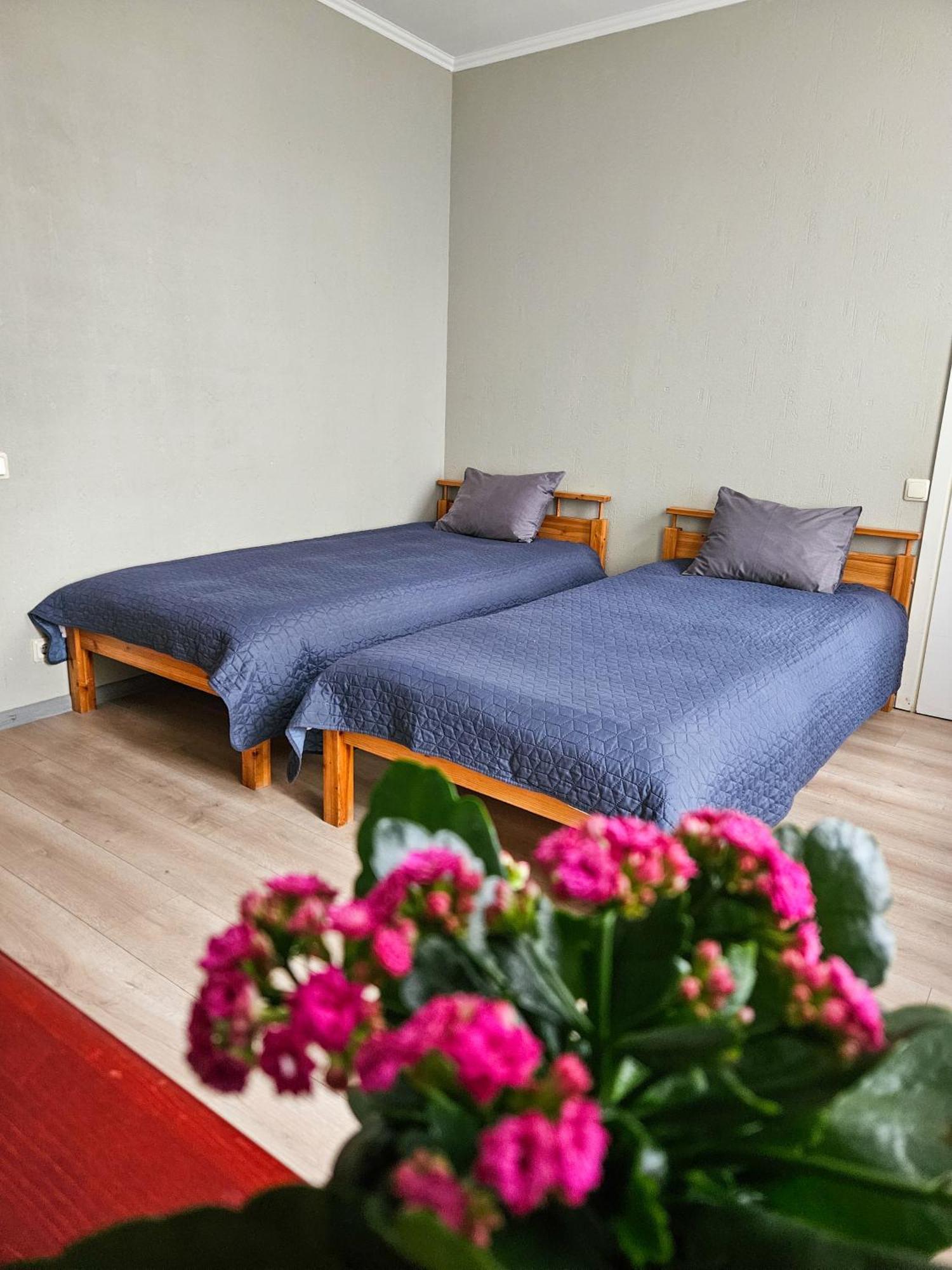 Muzeja Apartamenti Рига Екстер'єр фото